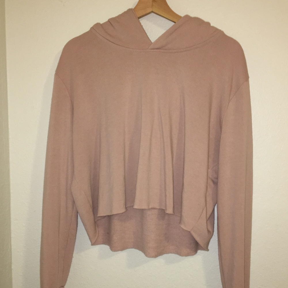 NWOT blush pink Brandy Melville cropped hoodie